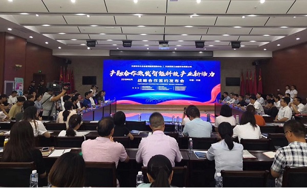 爱游戏aiyouxi（中国）科技喜获千万级担保授信
